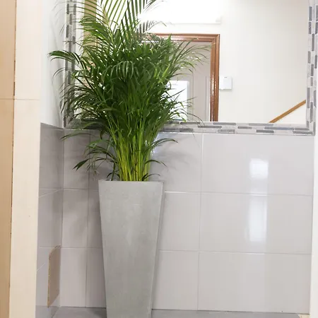 Rey Fernando 3* Santiago de Compostela