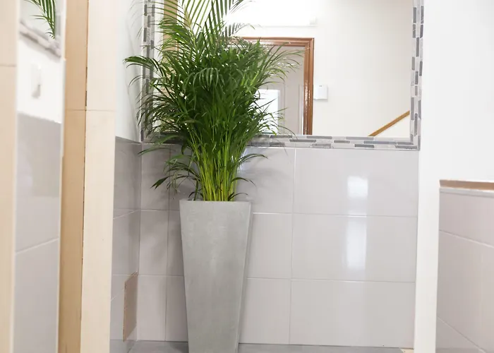 Rey Fernando 3* Santiago de Compostela